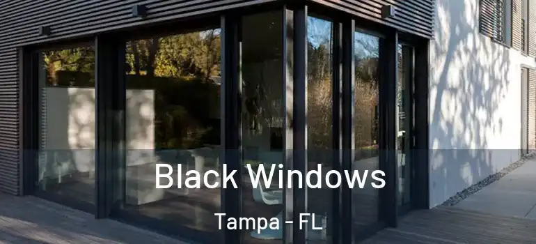  Black Windows Tampa - FL