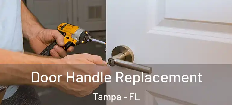  Door Handle Replacement Tampa - FL