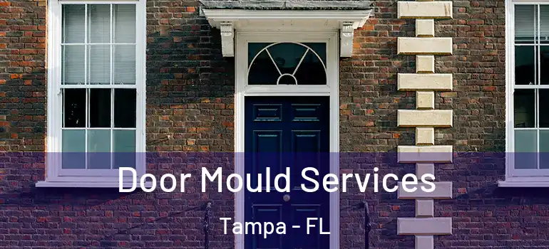  Door Mould Services Tampa - FL
