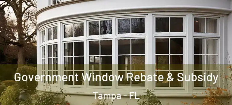  Government Window Rebate & Subsidy Tampa - FL