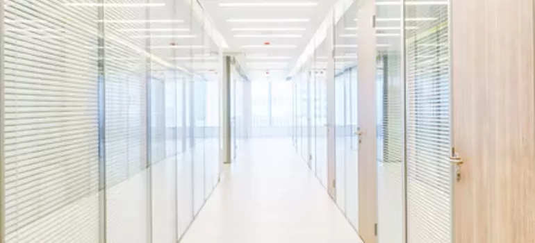 Frosted Glass Windows Replacement in Tampa, FL