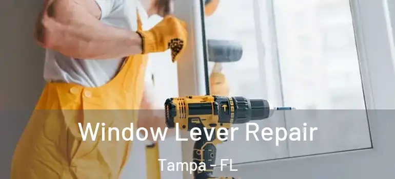  Window Lever Repair Tampa - FL