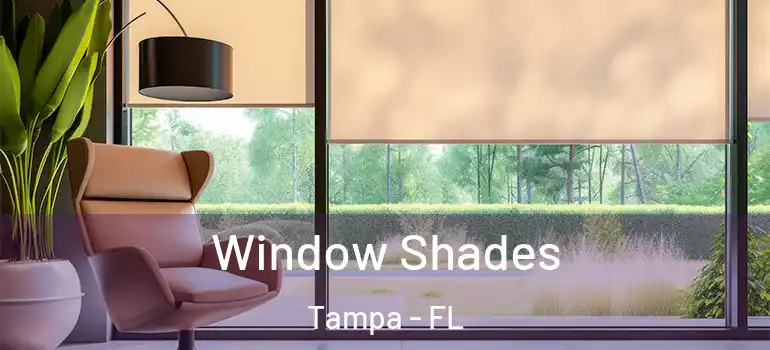  Window Shades Tampa - FL
